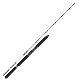 Спінінг Daiwa BG Deep Sea 2.20m 150-400g (11928-220)