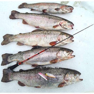 Вудка Salmo Diamond Perch Tele 50см (433-01)
