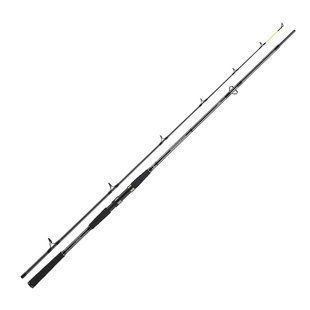 Спінінг Daiwa Seahunter X 2.60m 60-180g (11533-260)