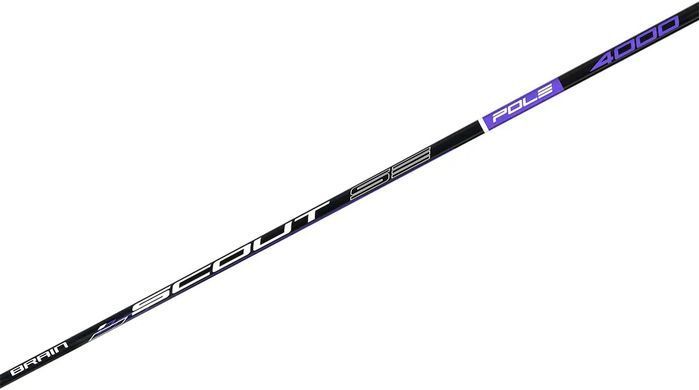 Удилище Brain Scout SE Pole 4.00м/20-40г (1858-55-45)